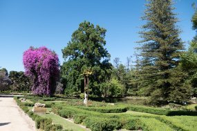 Santa Rita Winery Grounds and garden