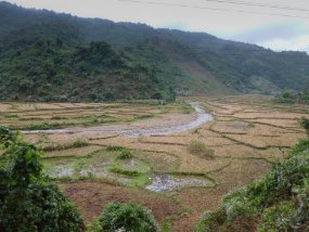 P1050885-2 Rice paddies