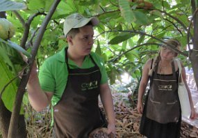 Senor Chocolate Our guide discusses the growing of cocoa