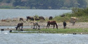 On the Rio San Juan