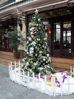 P1060008 Christmas tree. A reminder of the French Catholic era.