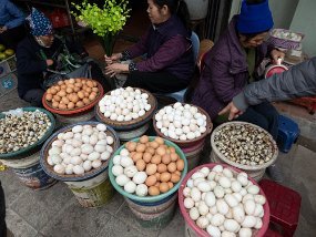 P1060013 Chicken eggs, duck eggs, quail eggs